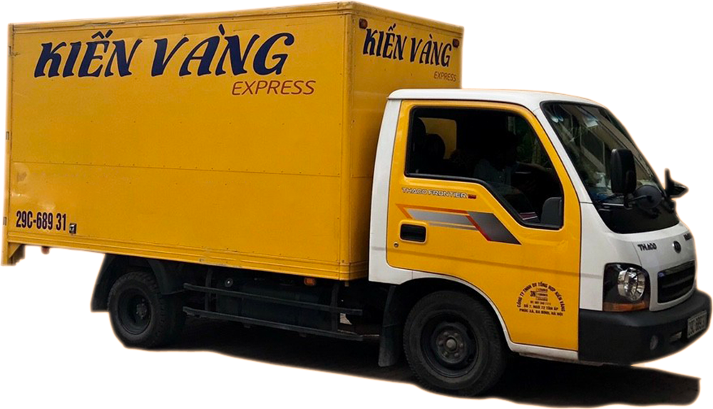 Kiến vàng chuyển nhà