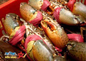 Cách vận chuyển cua biển đi xa