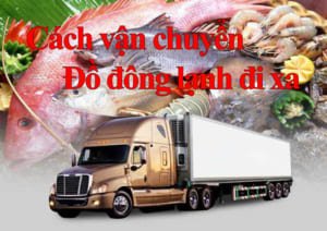 Cách vận chuyển hàng đông lạnh đi xa