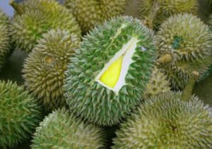 Cách vận chuyển sầu riêng đi xa